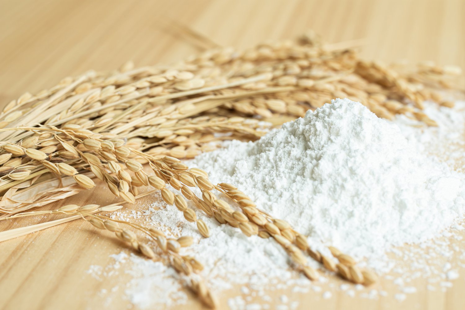 トップページ画像